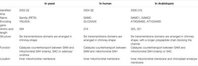 Fresh Insights Into SLC25A26: Potential New Therapeutic Target for Cancers: A Review